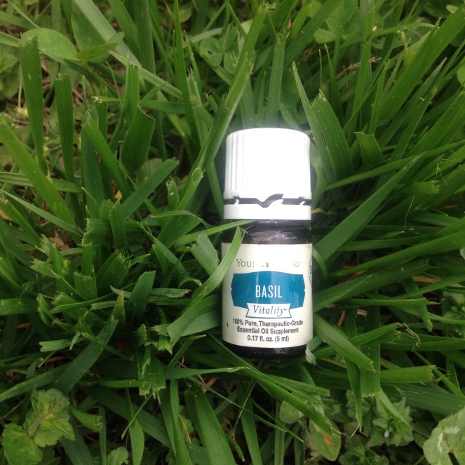 Basil 