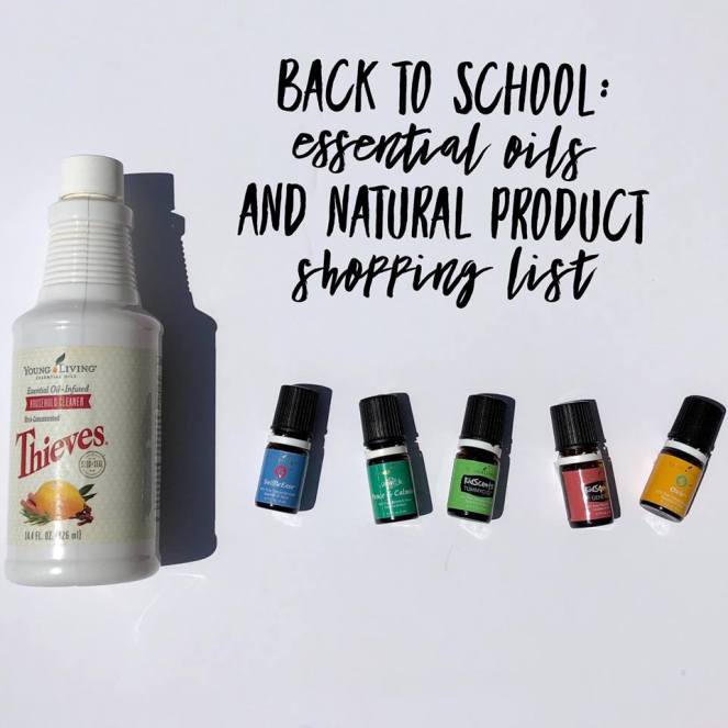 37874929_10215350745420457_2022163039242944512_n