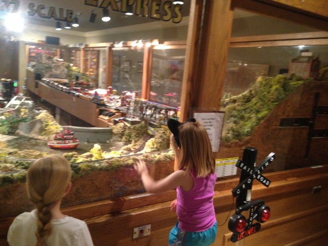 Trains at Customs House Museum