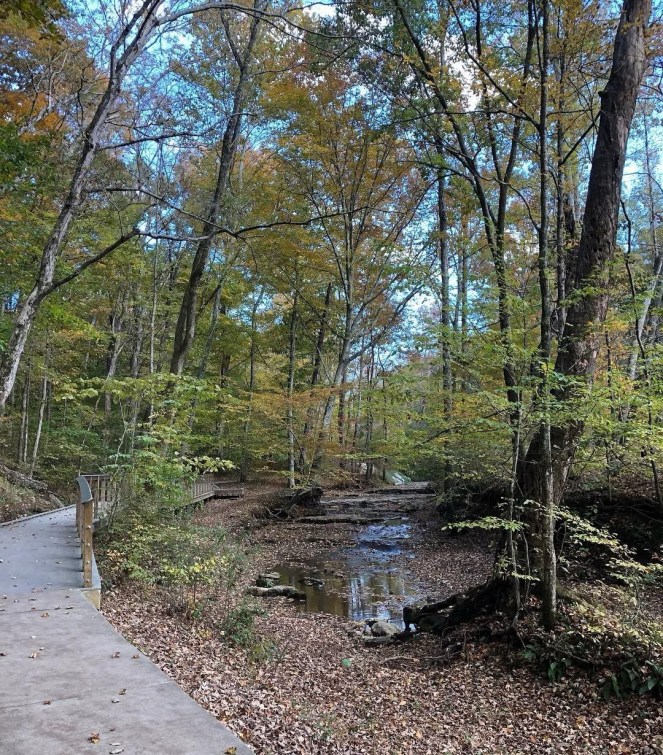 Path near creek at Rotary Park